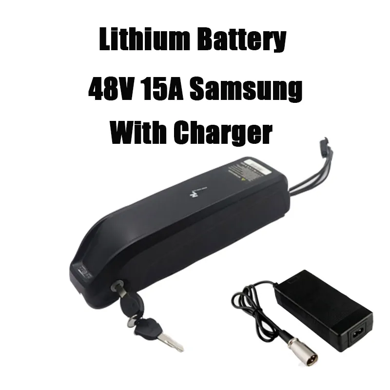 36 в 48 в 52 в Hailong литиевая батарея для электровелосипеда 10-21A LG SamSung Ebike батарея Hailong батарея Velo электрик - Цвет: 48V15A SAM charger