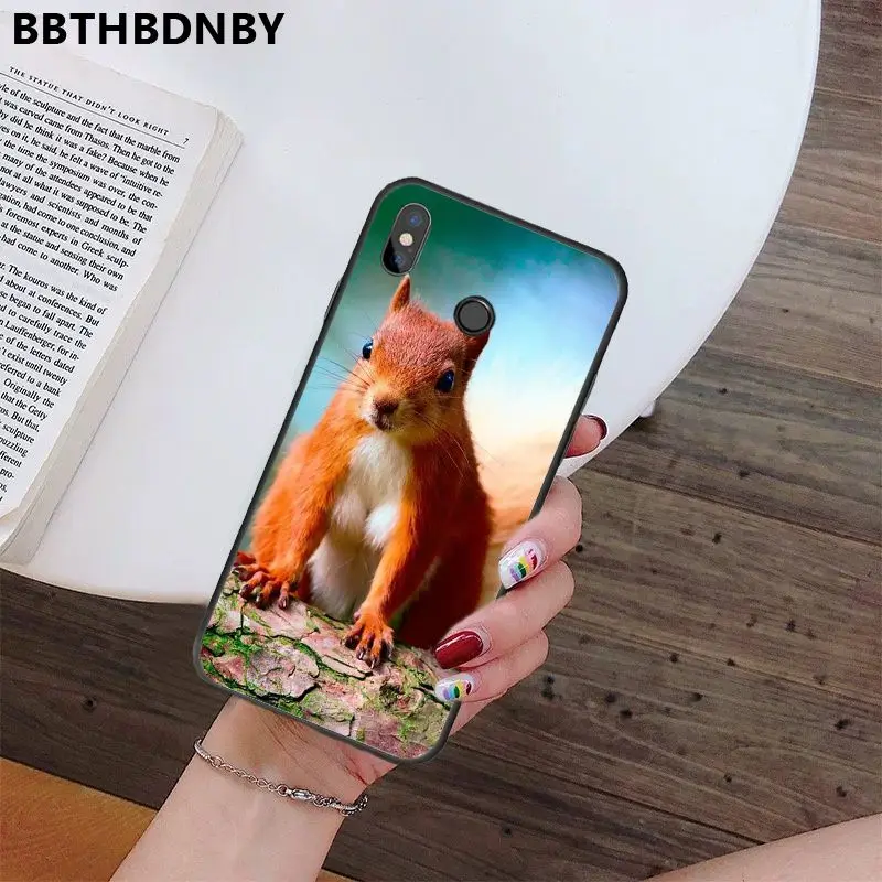 Чехол для телефона белка умный чехол черный мягкий Xiaomi 8 9 se Redmi 6 6pro 6A 4X7 note 5 7 |