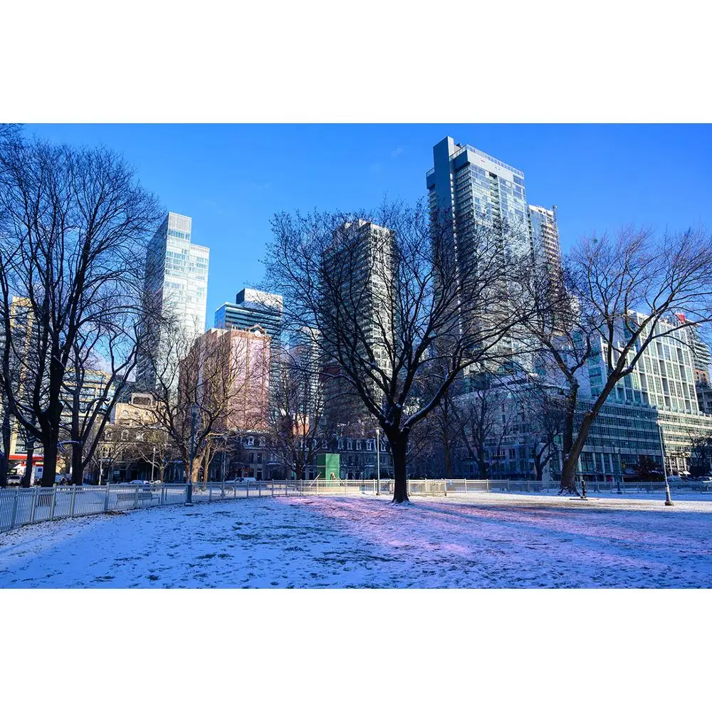 

Vinyl Custom Photography Backdrops Prop Winter landscape Theme Photography Background 200309HD-02