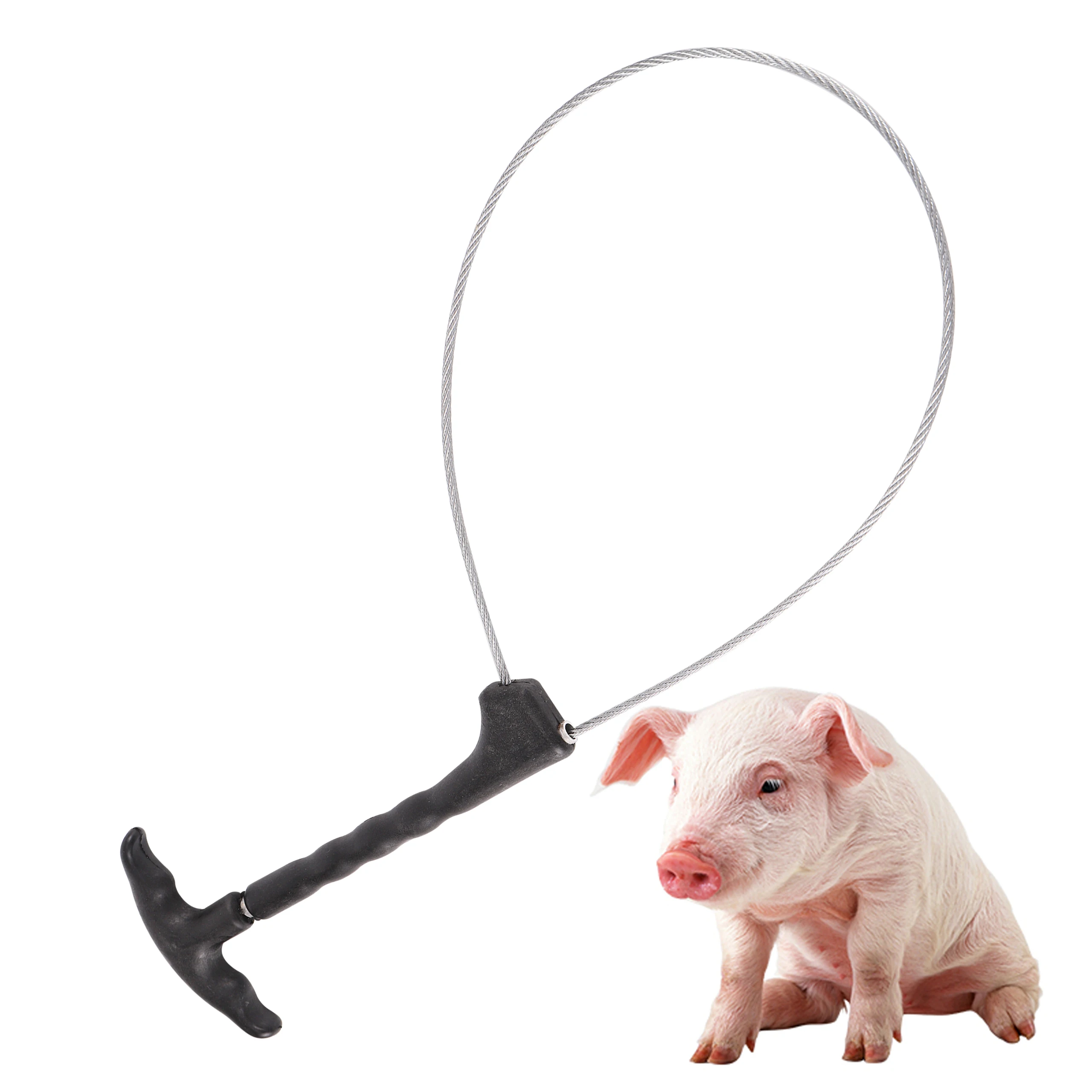 

Набор Baoding для домашнего скота, веревка для свиней, веревка для проволоки, инструмент для животных, ветеринарное оборудование, 1 шт.