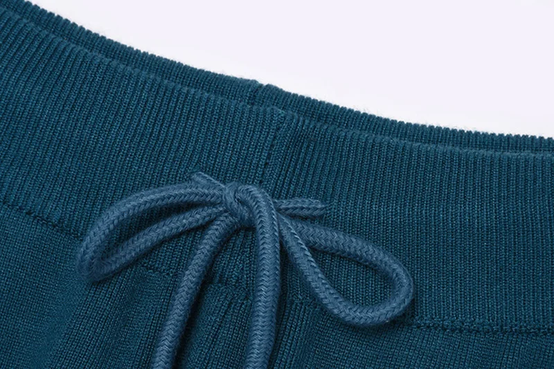 

[EAM] High Elastic Waist Drawstring Harem Knitting Trousers New Loose Fit Pants Women Fashion Tide Autumn Winter 2021 1DD1091