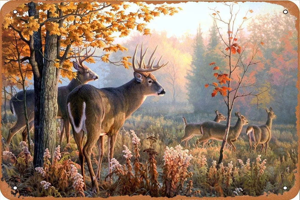 

Tin Sign WANLN Elk Metal Tin Sign Home Garage Bar Supplies Lightweight and Interesting Outdoor Decoration 12 X 8 Inch