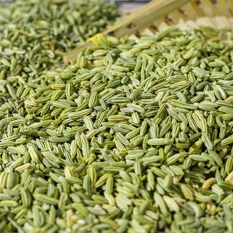

Fennel Aniseed,Foeniculum Vulgare,Anisum Fruit