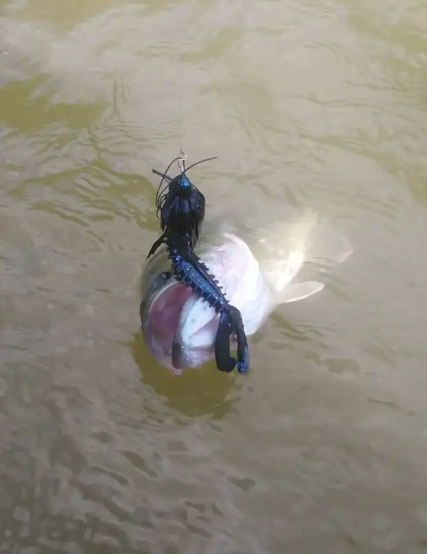 ESFISHING мягкие приманки Chunk Craw 6 шт. 110 мм мягкие приманки ПВА воблеры для троллинга форели воблеры
