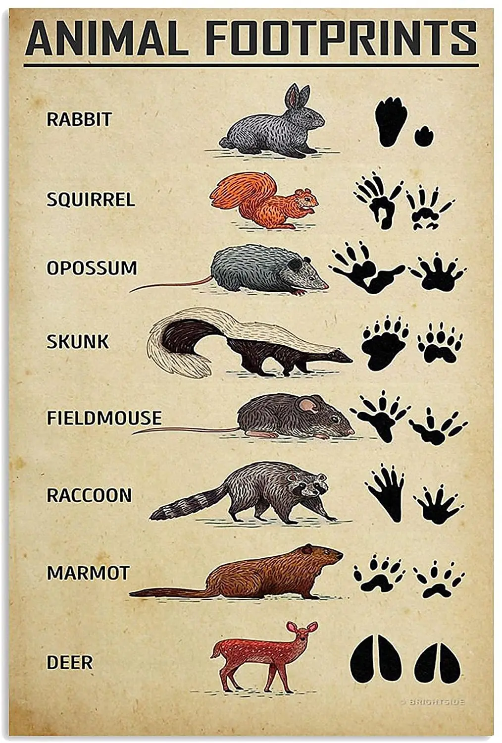 

Металлический знак в ретро стиле, персонализированные знаки для офиса, знания о следах животных, жестяной знак, настенное искусство, металл...