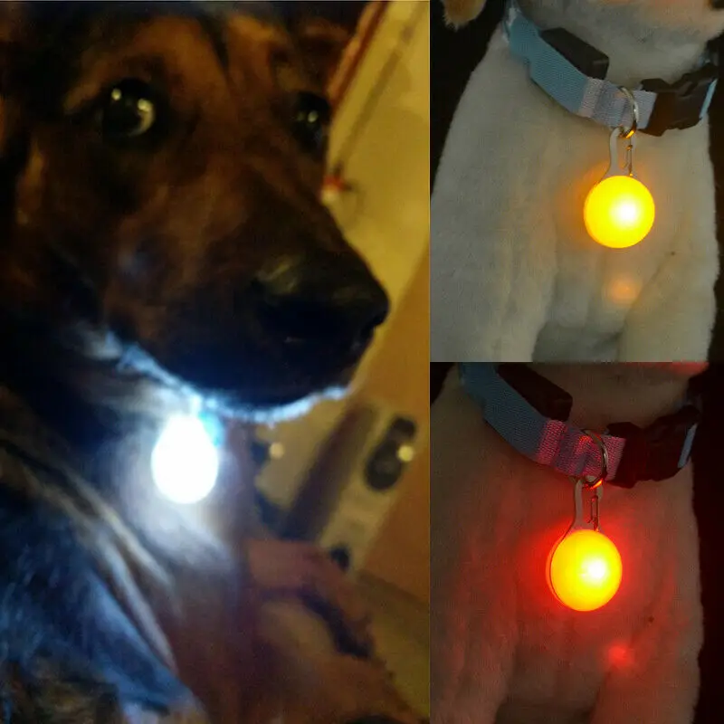 Ошейник с фонариком для маленькой собаки светящийся ошейник| |