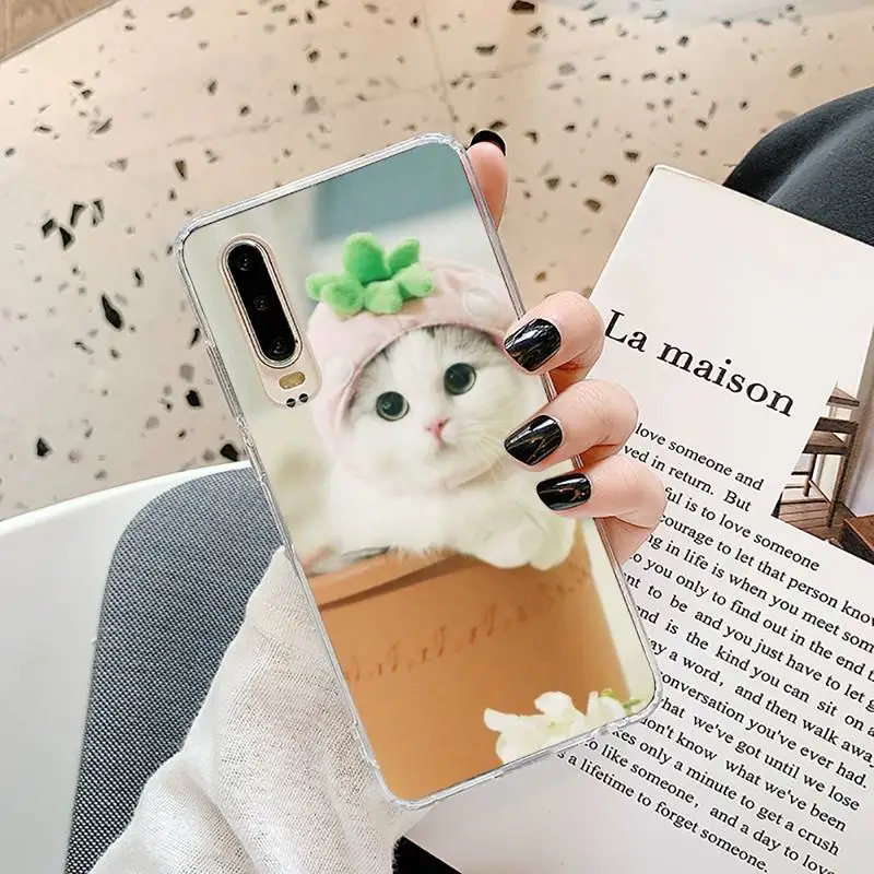 

cute cat Phone Case Transparent for Samsung A71 S9 10 20 HUAWEI p30 40 honor 10i 8x xiaomi note 8 Pro 10t 11