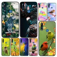 silicone cover animal parrot bird for huawei honor 9 9x 9n 8s 8c 8x 8a v9 8 7s 7a 7c pro lite prime play 3e phone case