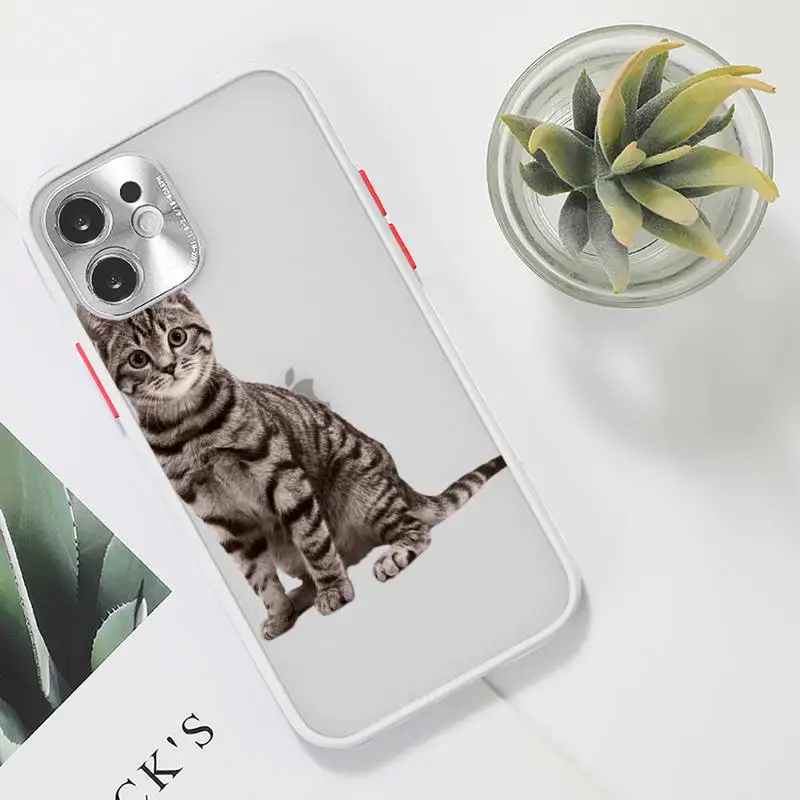 

cat Phone Case Clear matte transparent For white iPhone 7 8 x xs xr 11 12 pro plus max mini Funda