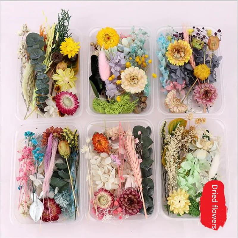 1 коробка реальные смешивания сухих цветов сухие растения для