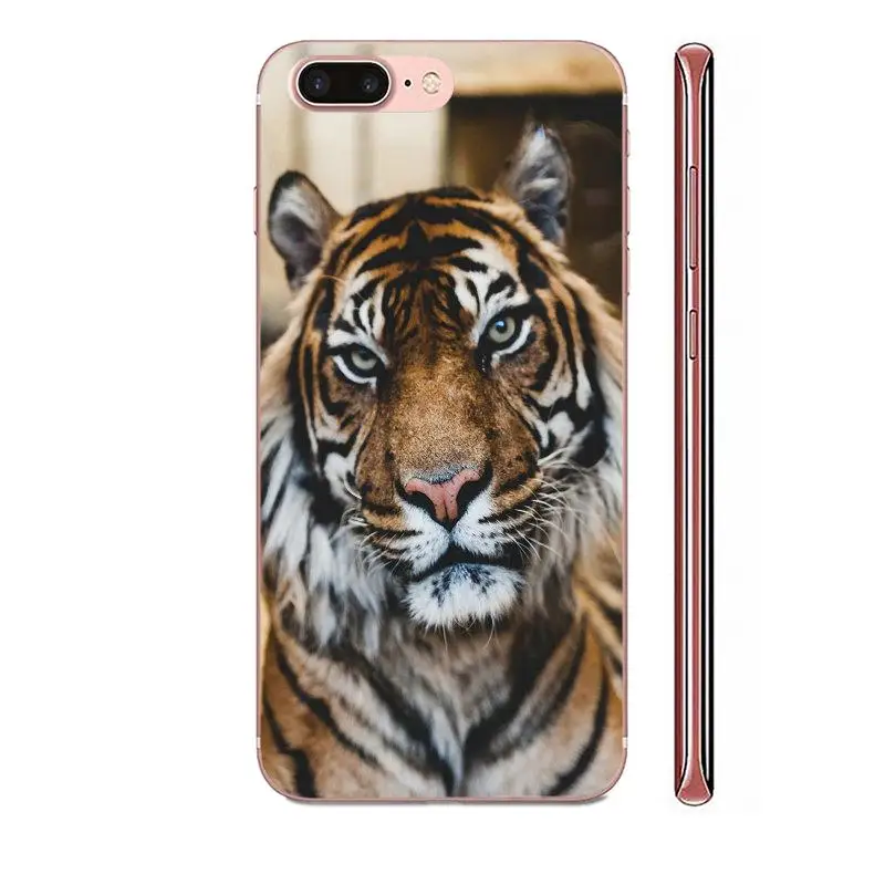 Горячие животные тигр белый Nofear усы полосы для Huawei Mate 30 Pro Lite 20s NOVA 6 SE 5 P40 p30 lite Honor V30