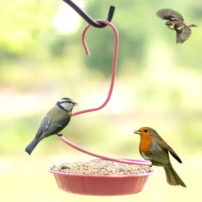 

Outdoor bird feeder, garden decoration, villa, balcony bird feeder, automatic bird feeding trough