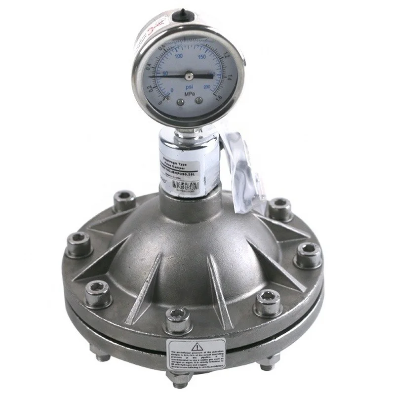 

DN15 0.35L SS304 Diaphragm Type Pulsation Damper for dosing metering pump