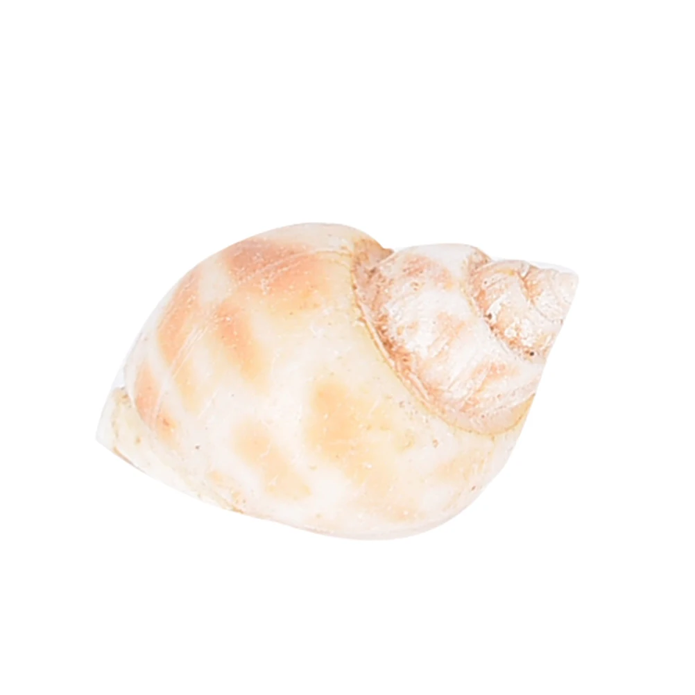 20 шт оптом натуральный пляж смешанные морские раковины аквариум декоративные
