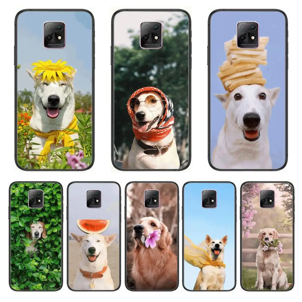 

Teddy Bulldog Pomeranian Corgi Golden dog Cool Phone Case For XiaoMi Redmi 10X 9 8 7 6 5 A Pro S2 K20 T 5G Y1 Anime Black Cove