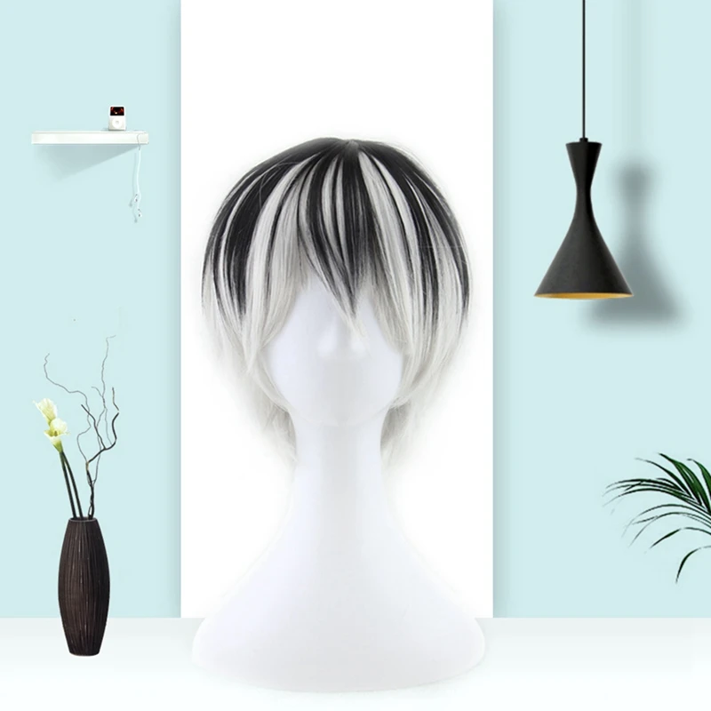 

Wigs Tokyo Ghoul Kaneki Ken Wig Short Straight Silver Grey Synthetic Hair Cosplay Anime Wigs Heat Resistance Fiber
