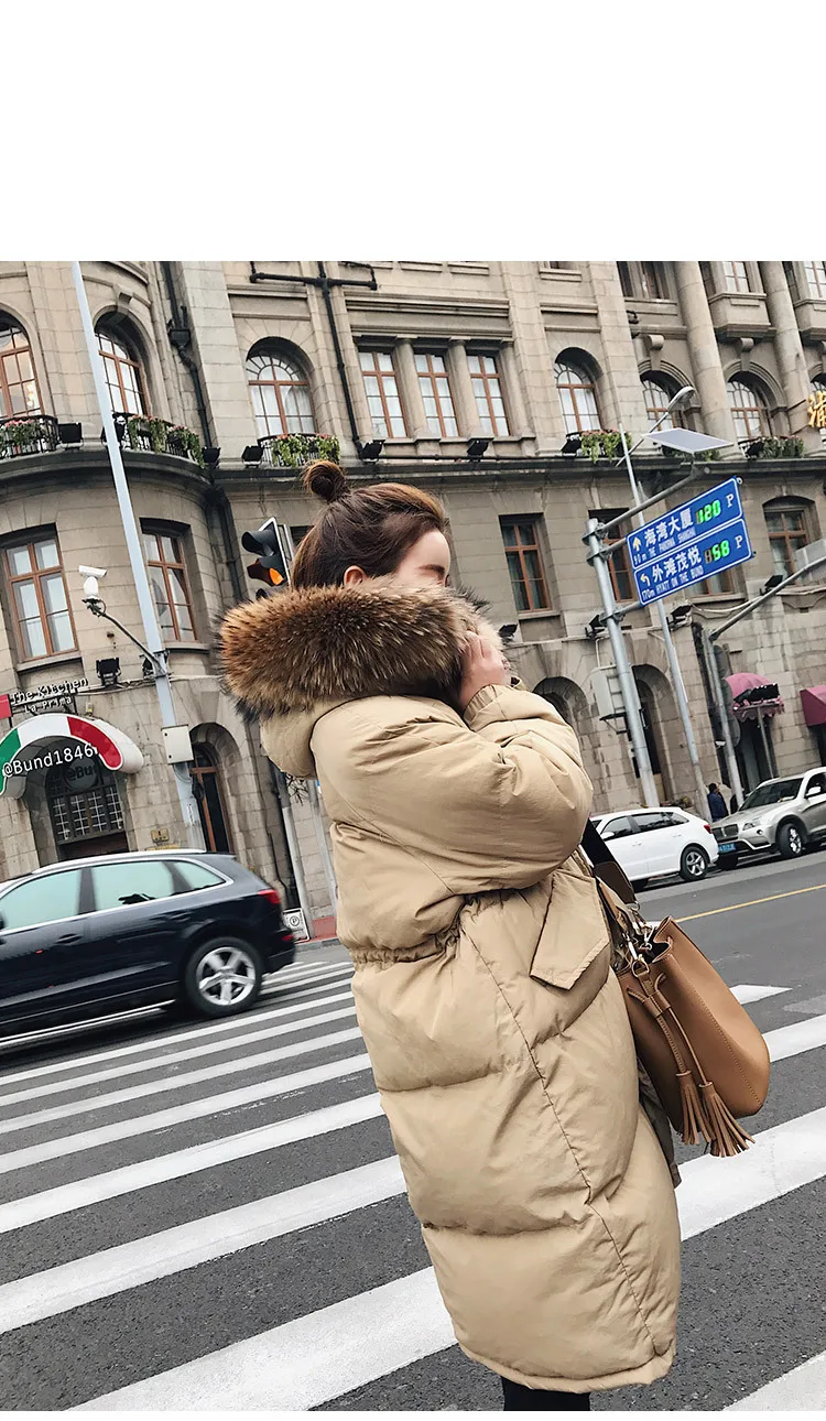 Большие товары для фотосессии, зима, стиль, корейский стиль, женская одежда, толстый большой меховой воротник, приталенная одежда с хлопковой подкладкой
