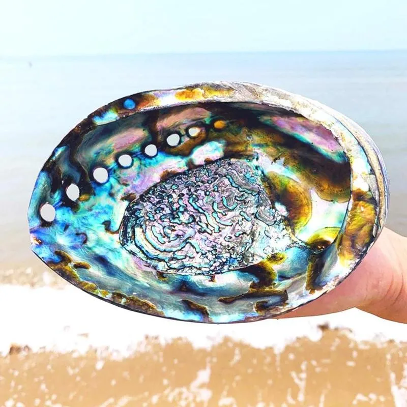 1pc 9-12cm Natural Bright Shiny Abalone Shell Nautical Blue Decor Seashells Fish Tank Aquarium Decoration Shells | Дом и сад
