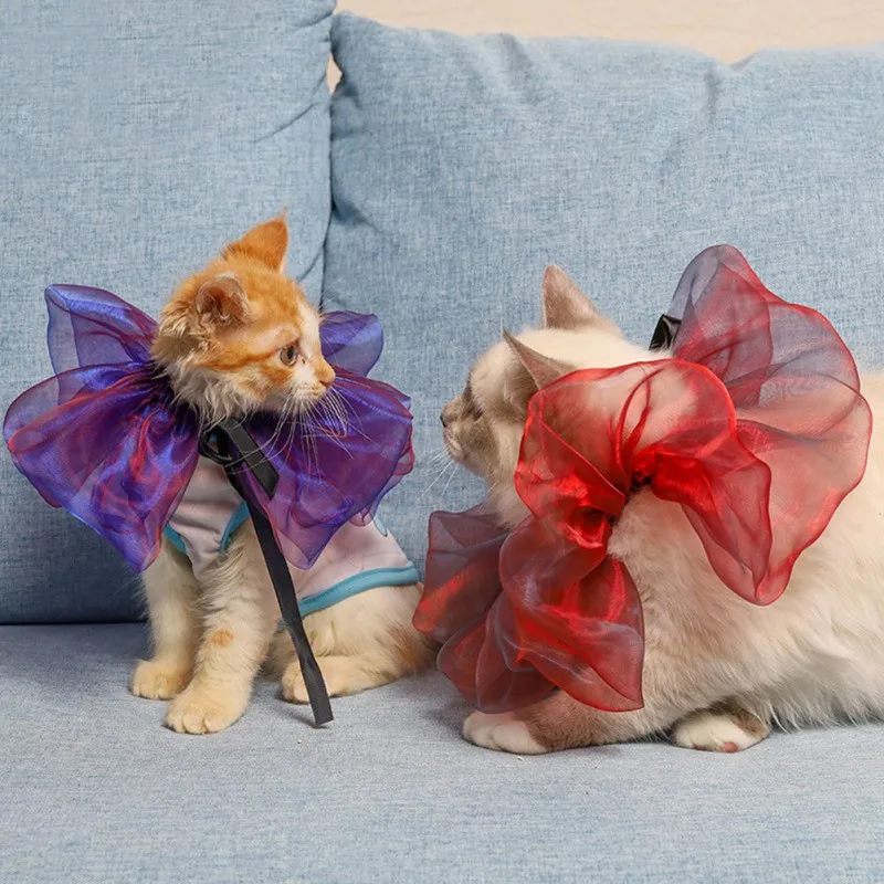 Хэллоуин шарф для домашних животных собак и кошек Рождество одеваются мечта