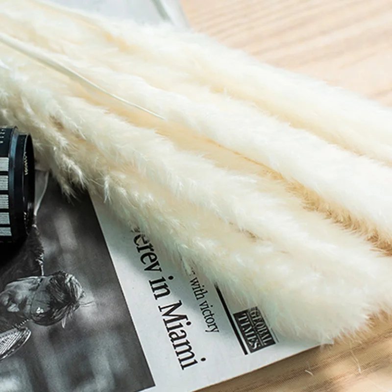 Сушеная маленькая пампасная трава фрагмиты коммунистическое украшение для дома