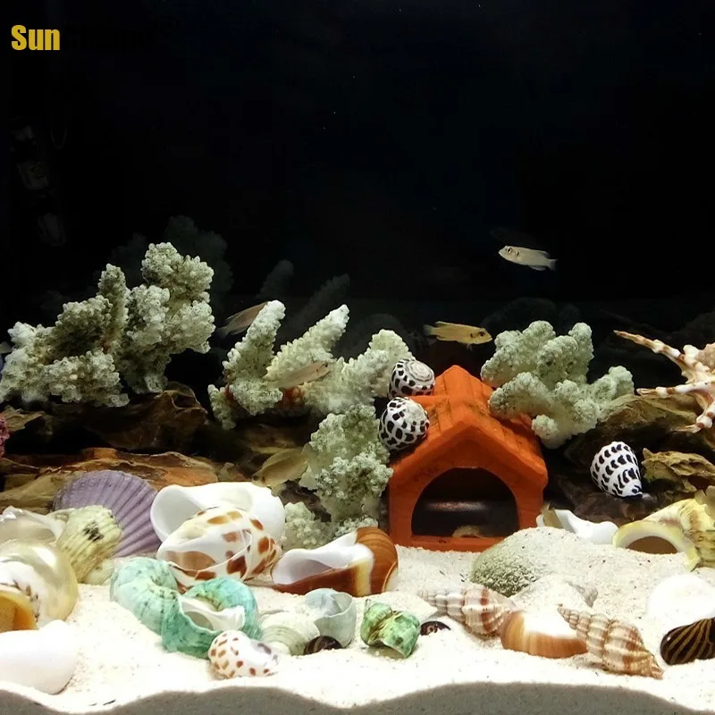 Живописный ракушка микро живописный DIY средиземноморская Дрифтинг Бутылка