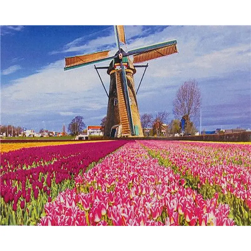 

GATYZTORY Paint By Number Flower Windmill Drawing On Canvas HandPainted Painting Art Gift DIY Pictures By Number Kits Home Decor