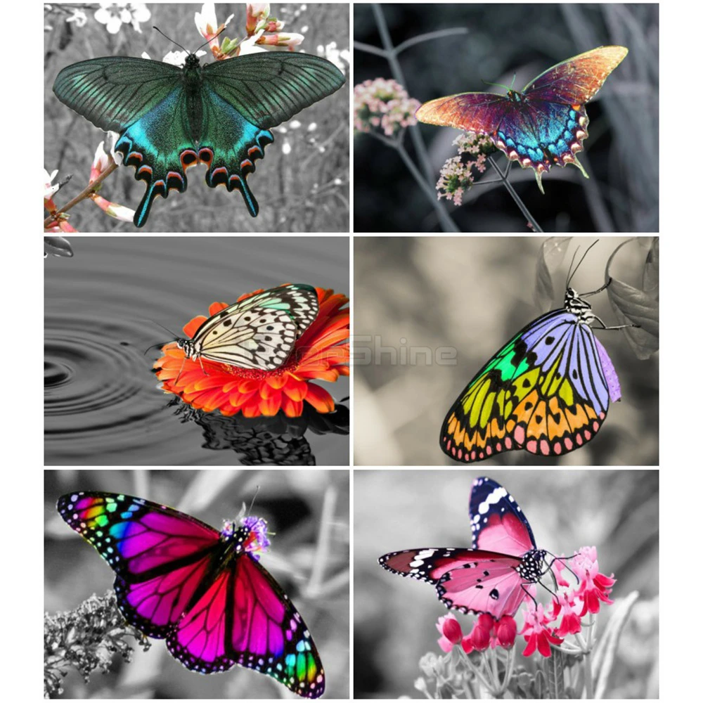 

EverShine алмазная вышивка полная выкладка алмазная мозаика картины стразами вышивка крестом рукоделие