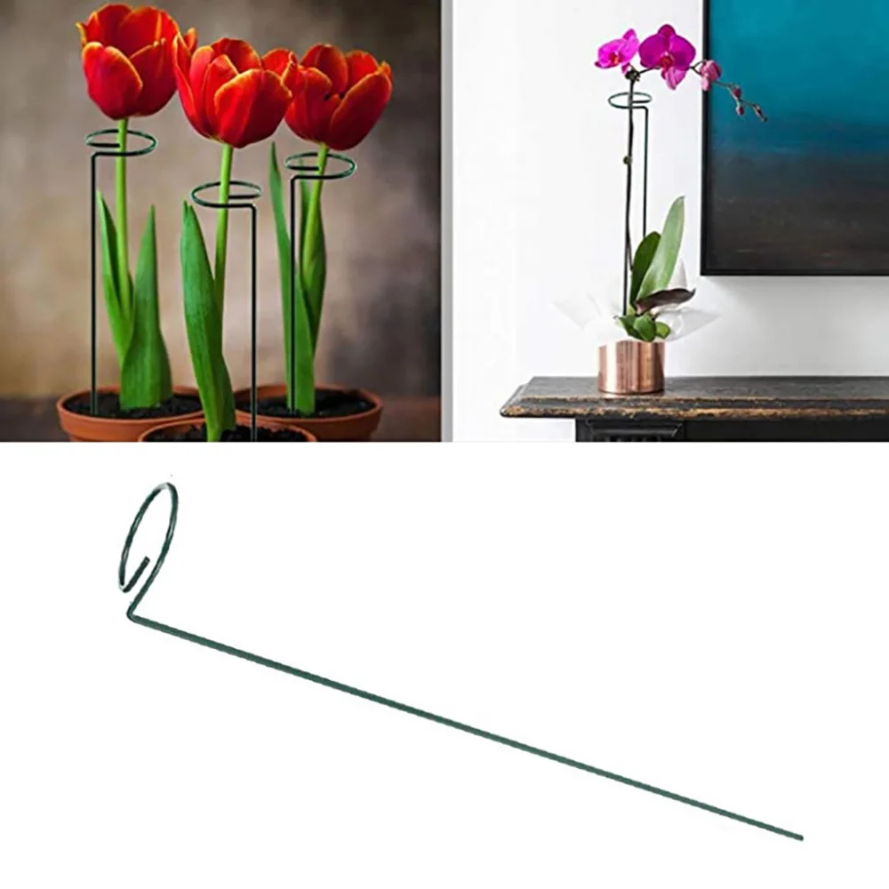 

Garden Plant Support Trellis Flowers Super Stand Accessories Professional