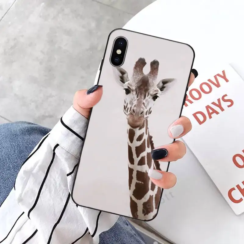 

giraffe Phone Cases for iPhone 11 12 mini pro XS MAX 8 7 6 6S Plus X 5S SE 2020 XR