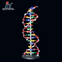 60cm dna structure model base pair genetic gene dna dna double helix models biology teaching educational equipment supplies