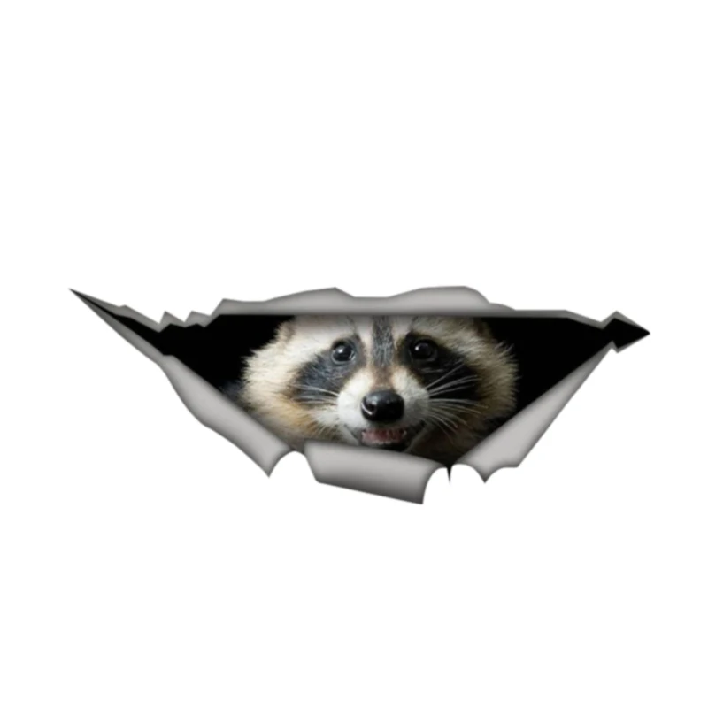 

13cm X 5cm Raccoon Car Decal Laptop Decal 3D Pet Graphic KK Vinyl Decal Car Window Laptop Bumper Car Stickers Car Decoration