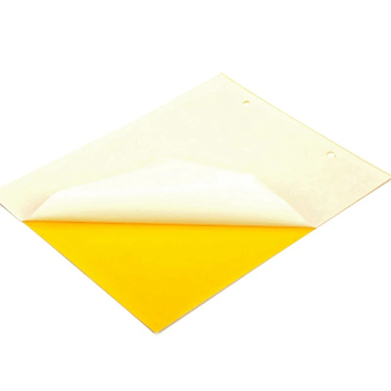 

Strong Flies Traps Bugs Sticky Board Catching Aphid Insects Killer Pest Control Whitefly Thrip Glue Sticker