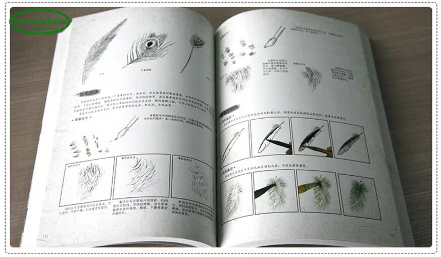 Gongbi painting skills book Chinese Sketch technique from entry to proficient with DVD |