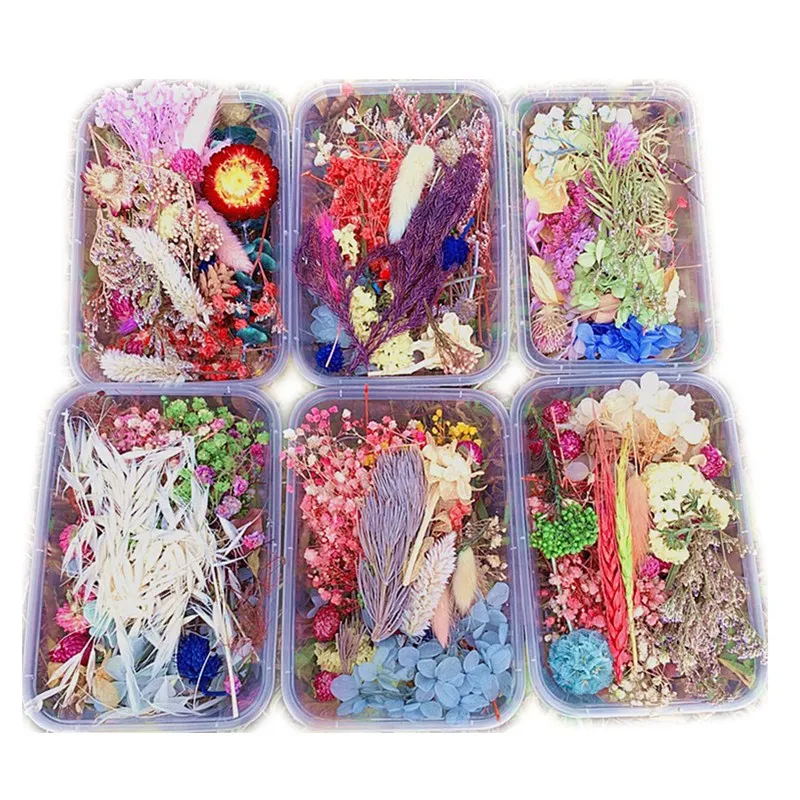 1 шт. Набор для творчества | Дом и сад