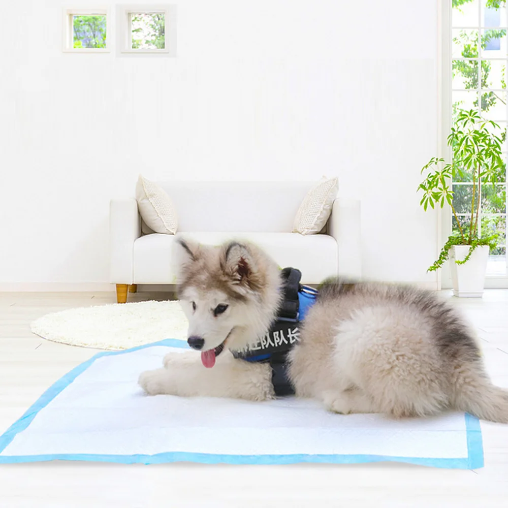 Одноразовые супер впитывающие подгузники для дрессировки питомцев кошек и