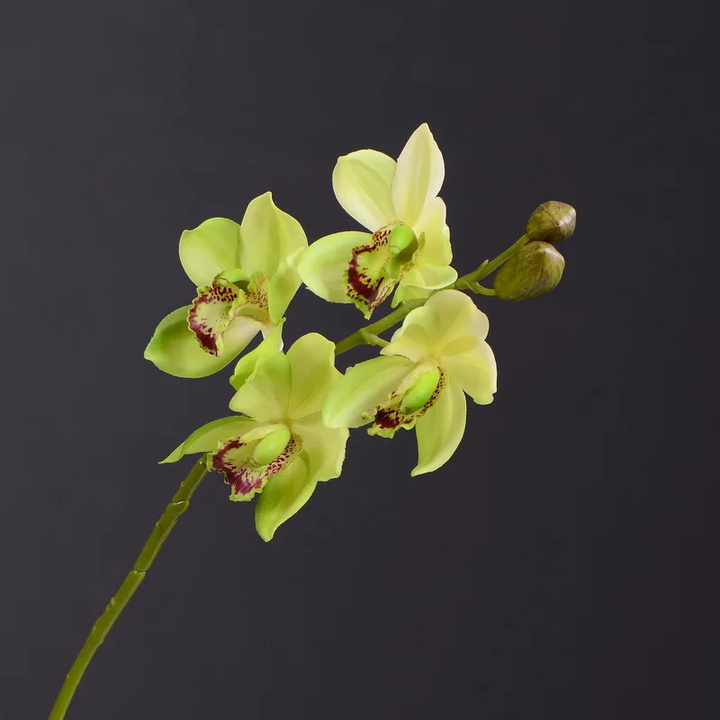 6 шт. моделирование Юго Восточной Азии искусственная Орхидея оптом гостиная стол