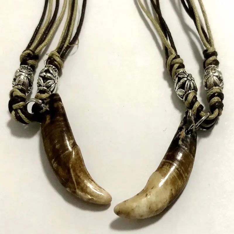 

15 pcs Punk Design Tibet Jewelry Amulet Real Fangs Wolf Tooth Pendant Surfer Necklace Adjustable Gift