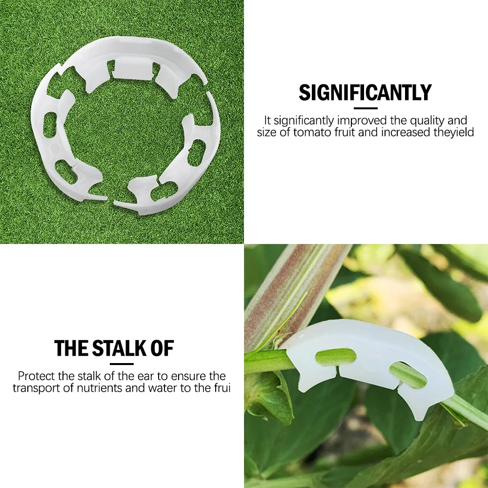 

100PCS Vegetables Tomato Fixing Clips to Prevent Bending Support Clamp Fruit Flower Green Plant Seedling Reinforcement Clips