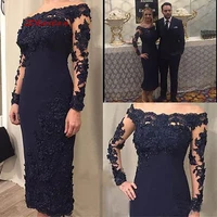 Navy Blue Long Sleeve Lace Mother of the Bride Dresses for Weddings Plus Size Party Dinner Evening Godmother Groom Dresses