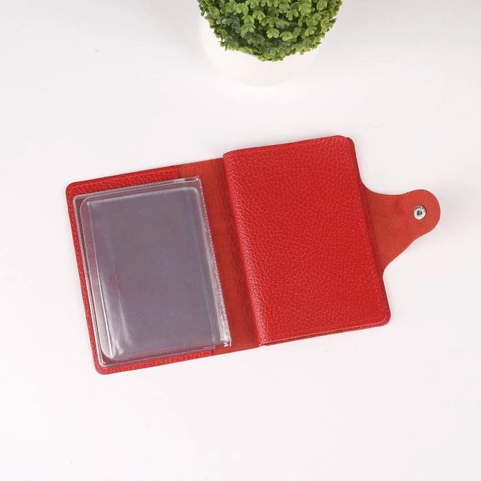 Рисунок 3 - Обложка для автодокументов и паспорта