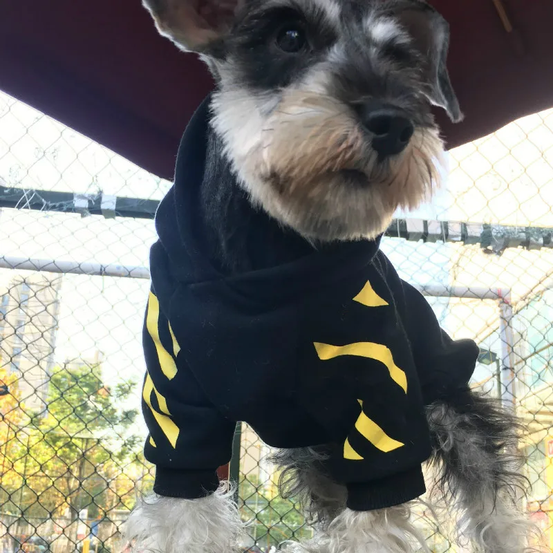 Осень и зима Тедди черный Саржа спортивная одежда с капюшоном чем медведь