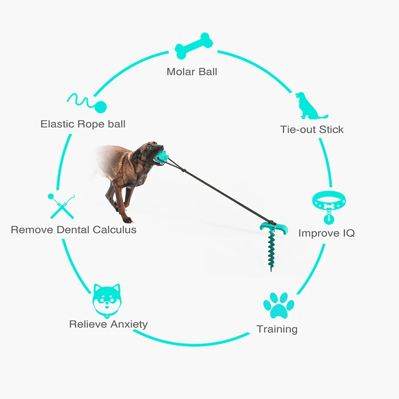 

Tie Dog Stake Tension Elastic Rope Toys Multifunctional Products for Automatic Dog Walking Dog Toy Suit Cleaning Dog Teeth