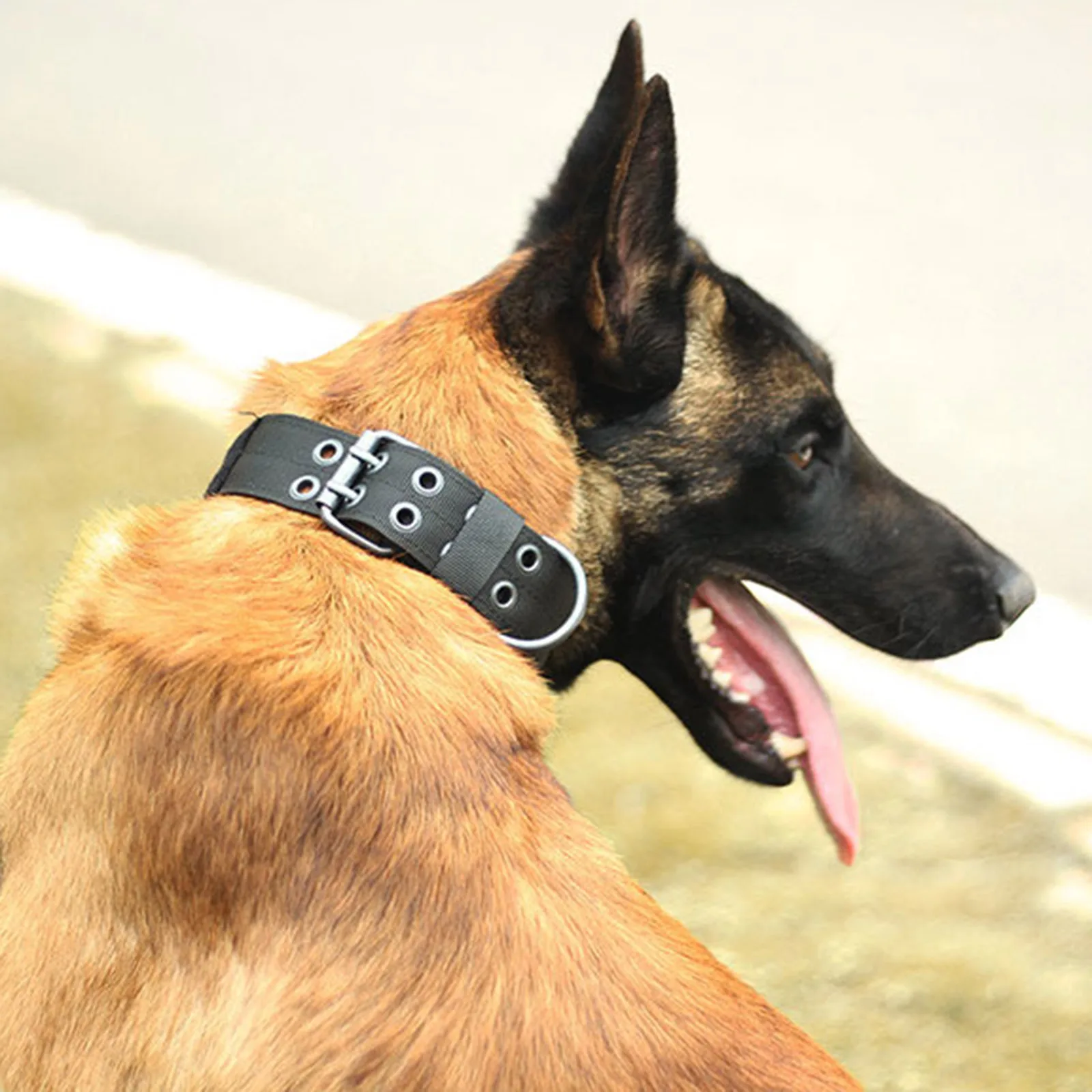

Военный ошейник для собак, регулируемый толстый прочный нейлоновый ошейник с металлической D-образной пряжкой, 3 размера, для средних и боль...