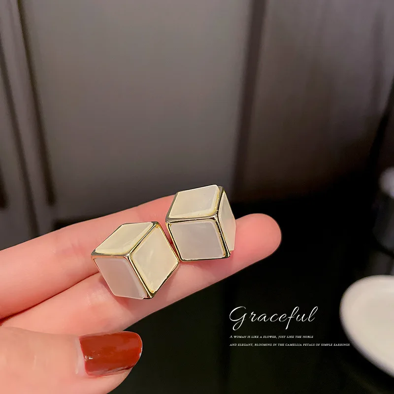 

Korean Fashion Simple Personality Three-dimensional Square Net Red Temperament Design Sense Earrings