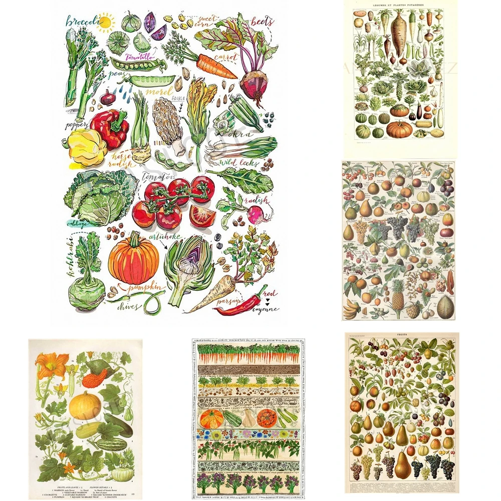 Плотные постеры в виде фруктов овощей дыни Настенная Наклейка 30x42 см ностальгия