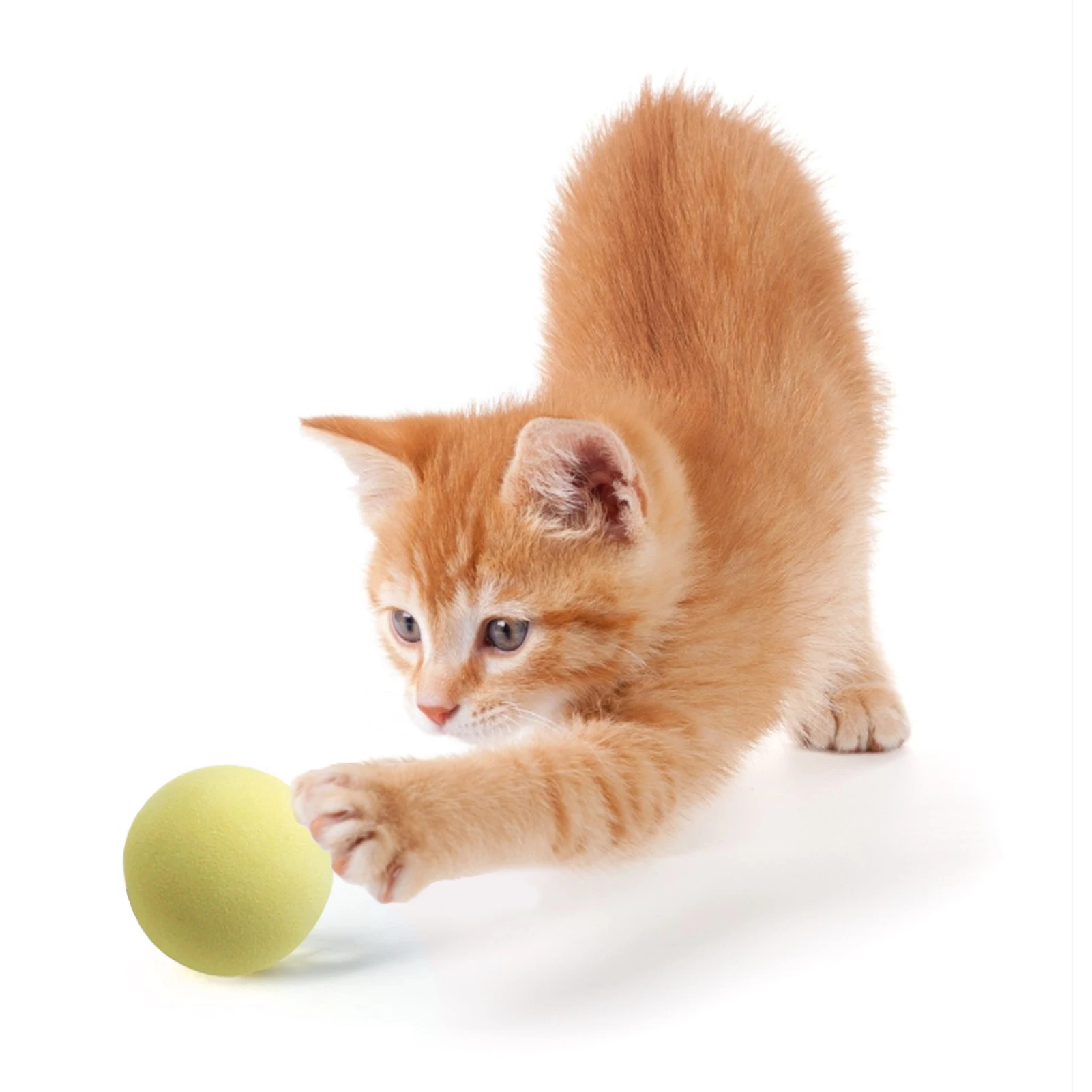 

Cat Ball Toys Pet Interactive Toy Bird/fog/ Cricket Sound Cat Toys Interesting Healthy Cat Play Toy Kitten Playing Toy