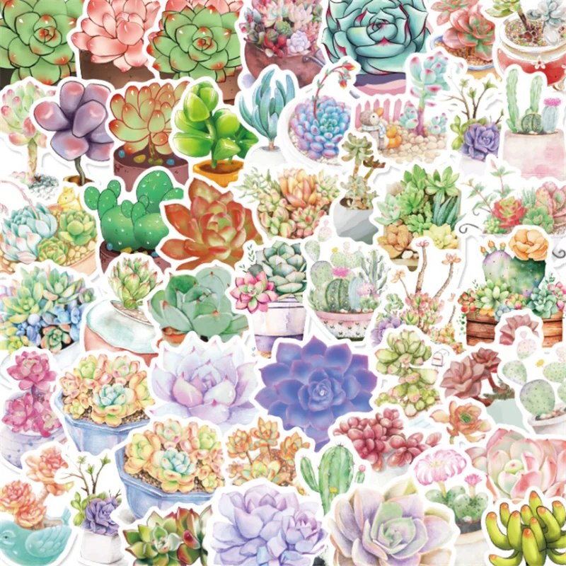

10/30/50PCS Succulent Flower Plant Graffiti Sticker Laptop Suitcase Waterproof Guitar Decoration Toy Wholesale