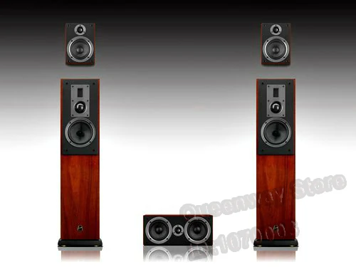 HIVI Swans RM1000HT 5 0 Домашний кинотеатр стерео звуковая система фронтальная RM1000 центр