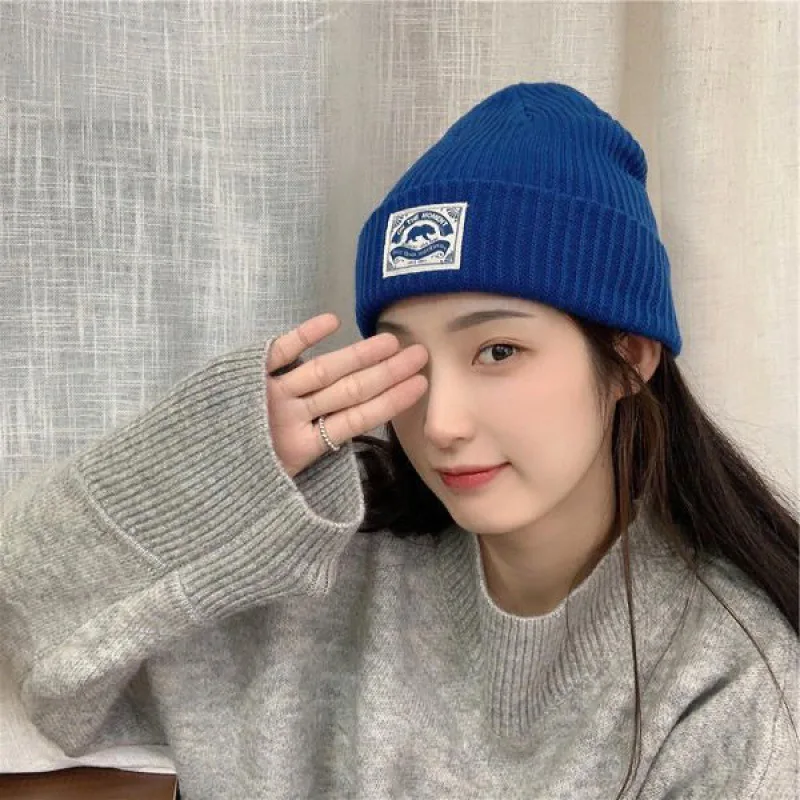 

Hip Hop Caps Beanie Skullcap Street Knitted Bonnets for Women Cap Men Bonnet Winter Hat Beanie Hat Keep Warm