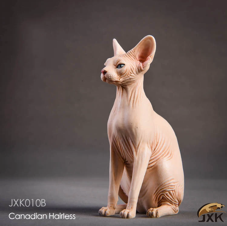 1/6 модель животного из смолы Jxk010 1/6 канадская безволосая кошка Сфинкс 3 цвета животное F 1" фигурка солдата